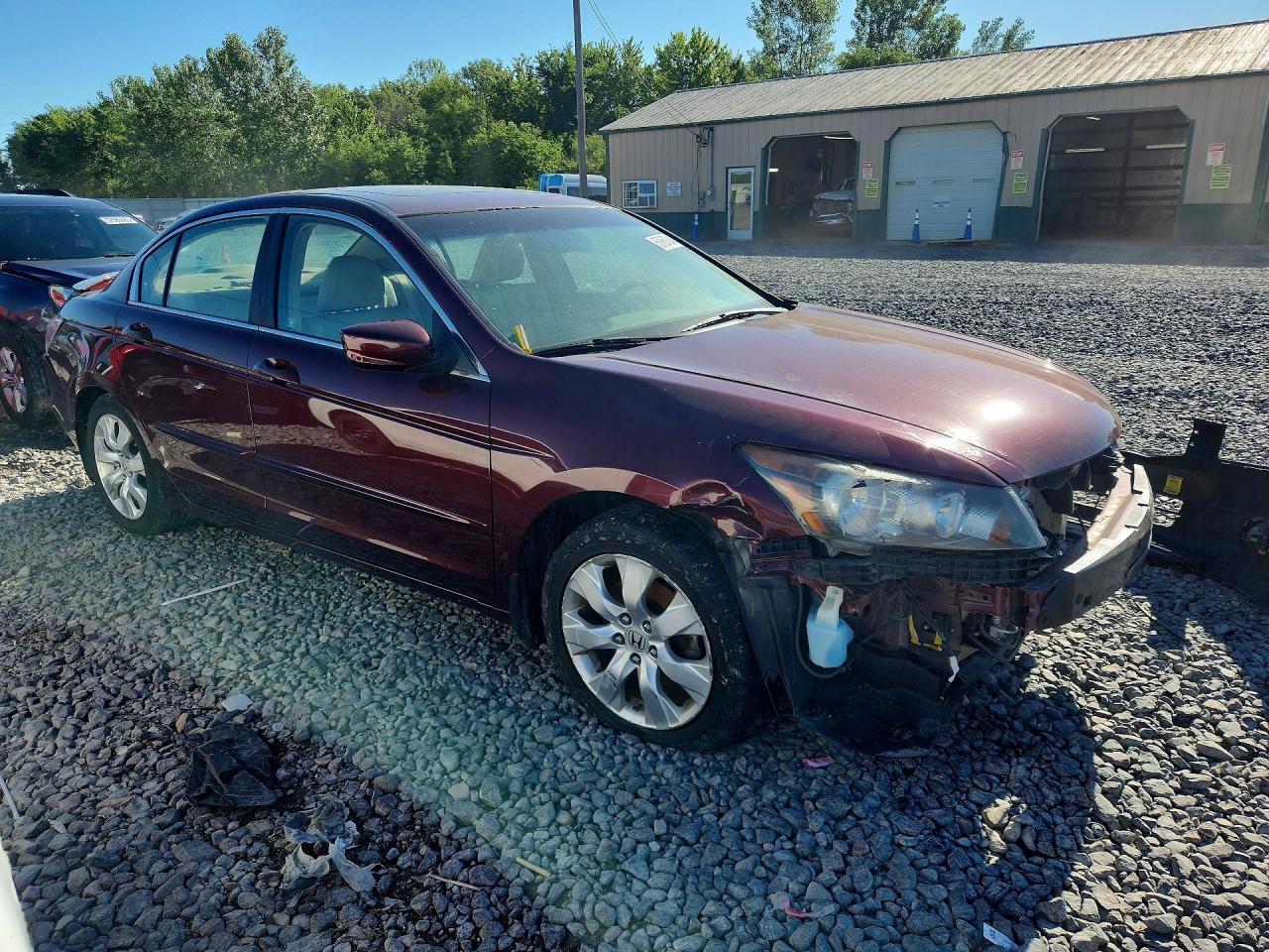 2008 Honda Accord Exl Burgundy vin: 1HGCP26878A054307