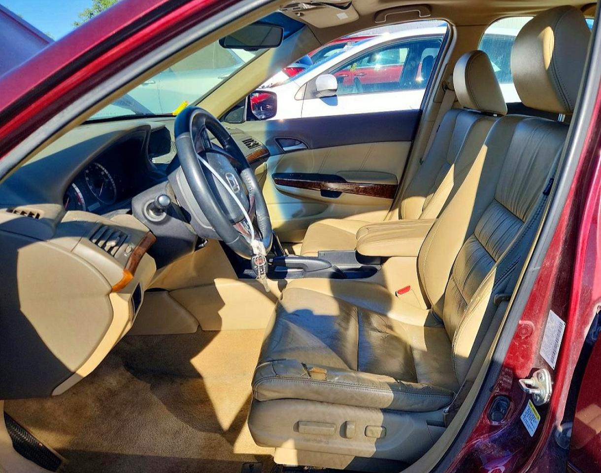 2008 Honda Accord Exl Burgundy vin: 1HGCP26878A054307