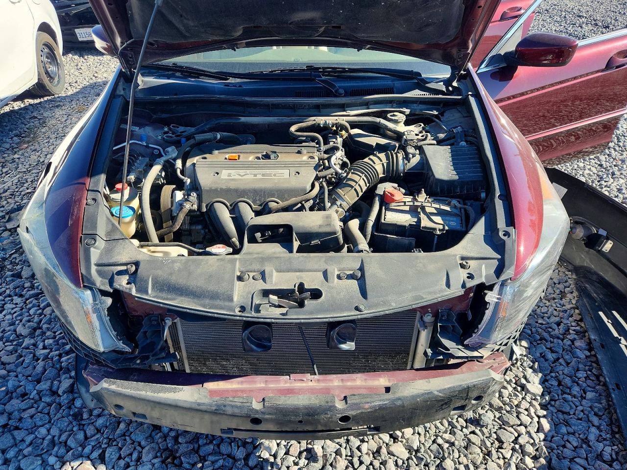 2008 Honda Accord Exl Burgundy vin: 1HGCP26878A054307