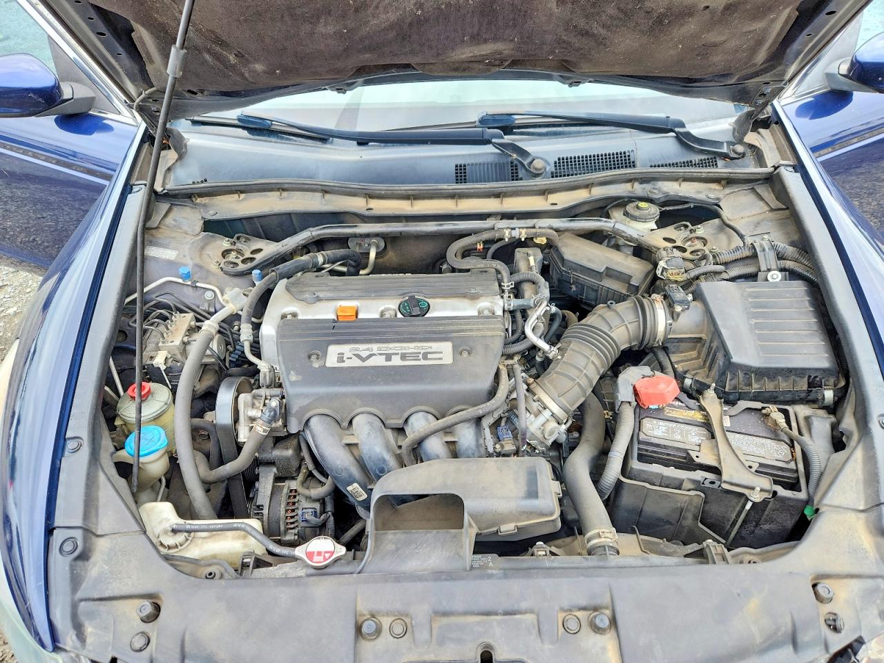 2008 Hond Accord Exl Синий vin: 1HGCP26878A096234