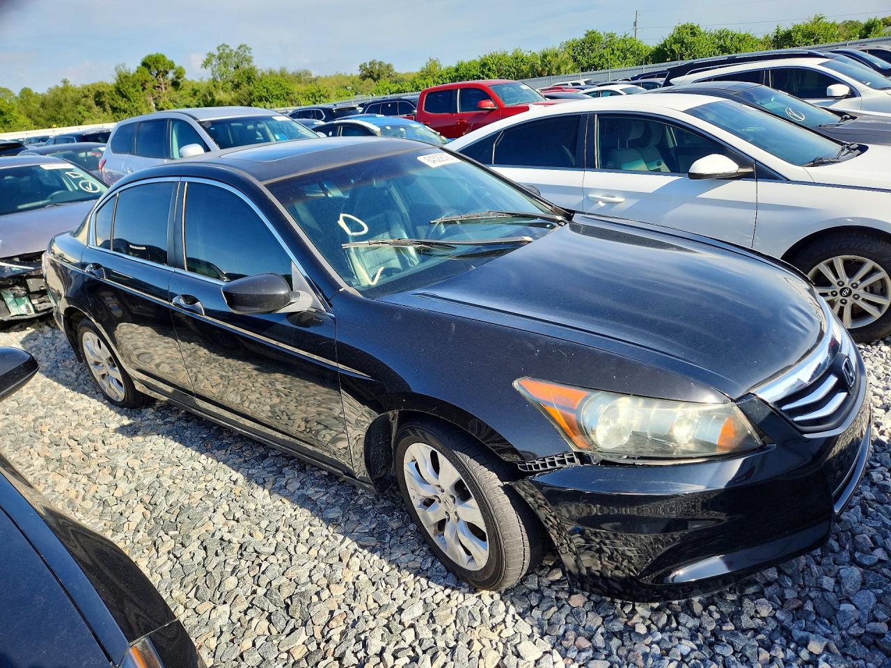 2008 Honda Accord Exl Black vin: 1HGCP26878A107779