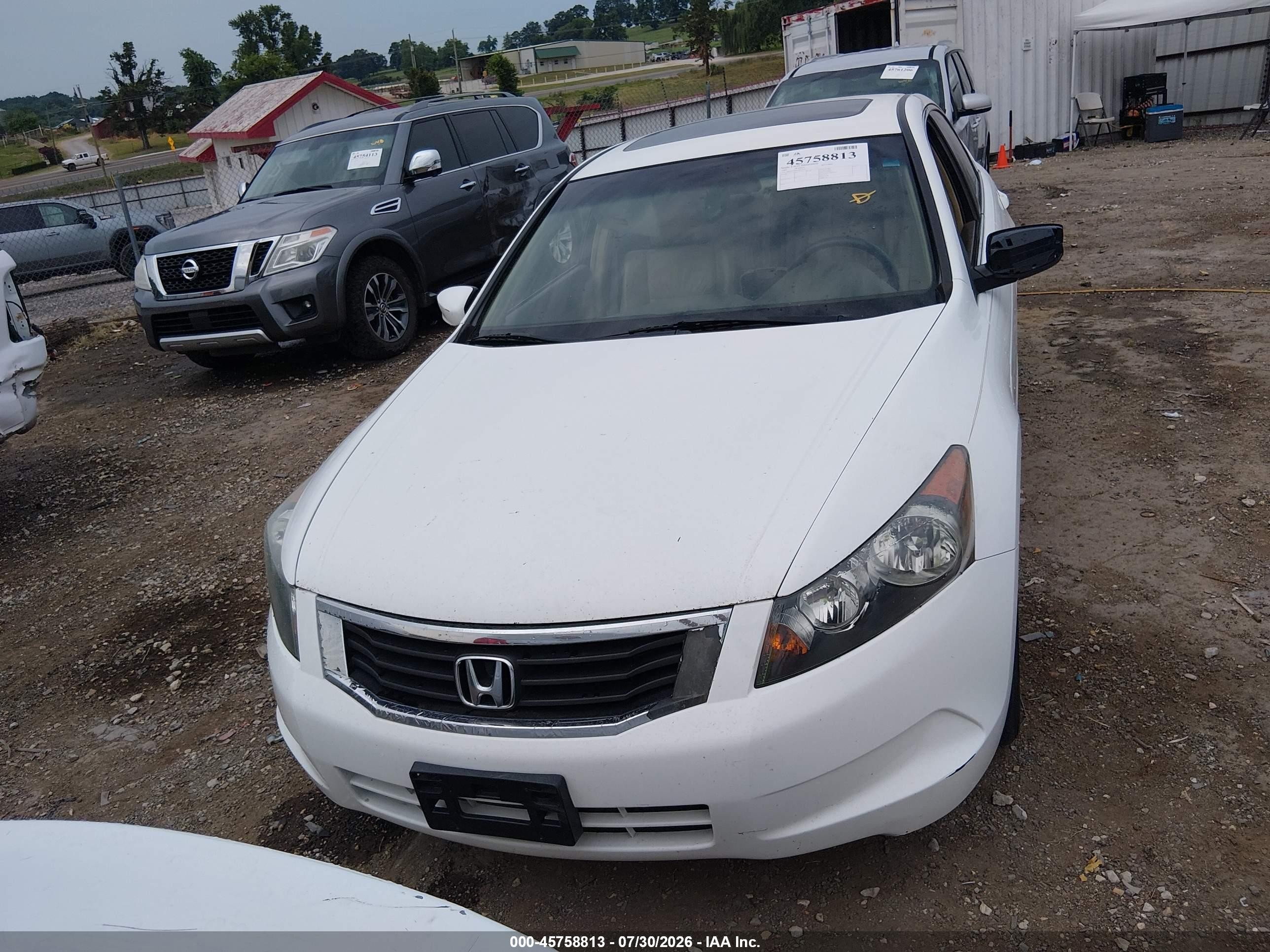 2009 Honda Accord 2.4 Ex-l White vin: 1HGCP26889A006350