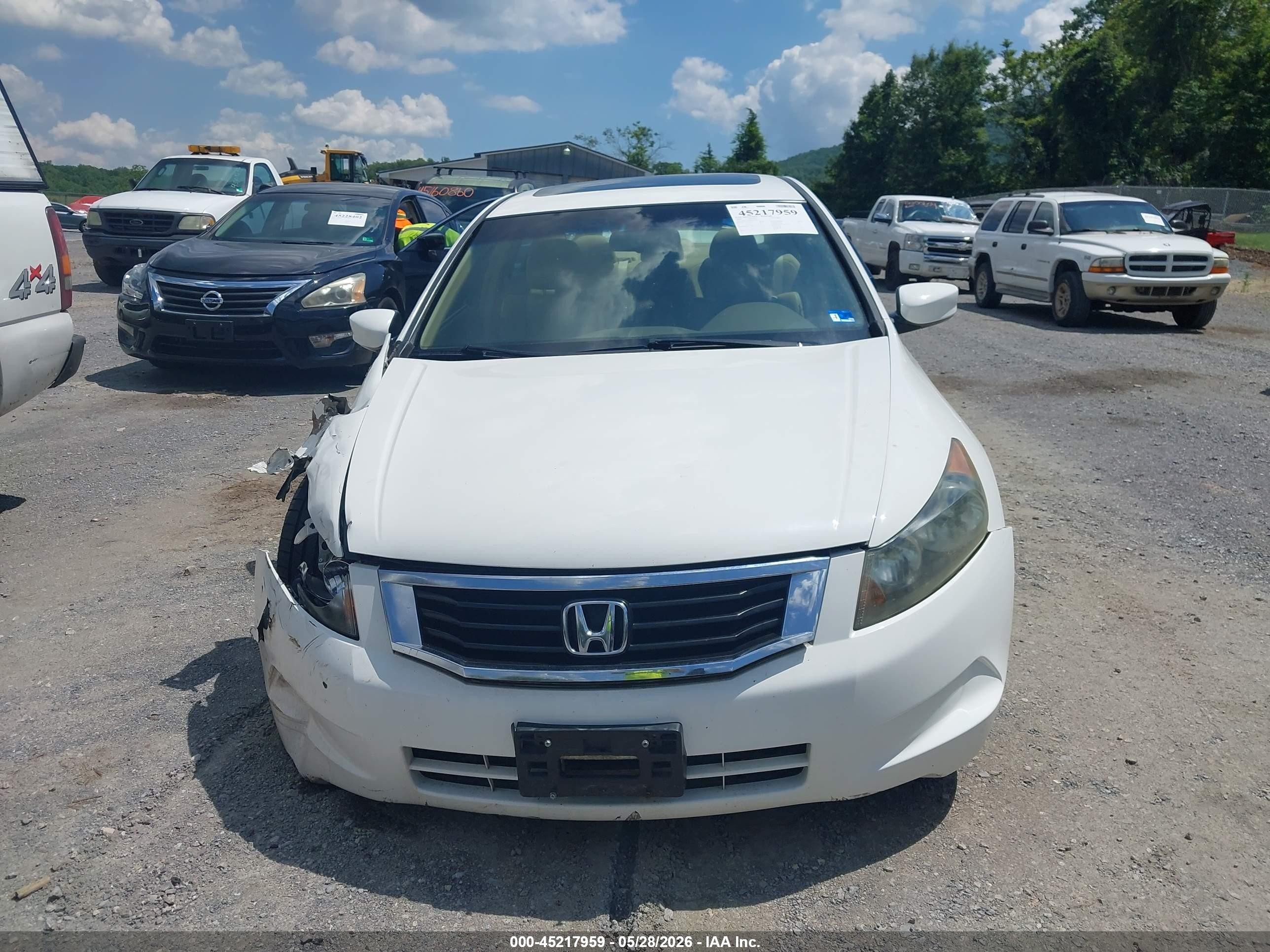 2009 Honda Accord 2.4 Ex-l Белый vin: 1HGCP26889A012245
