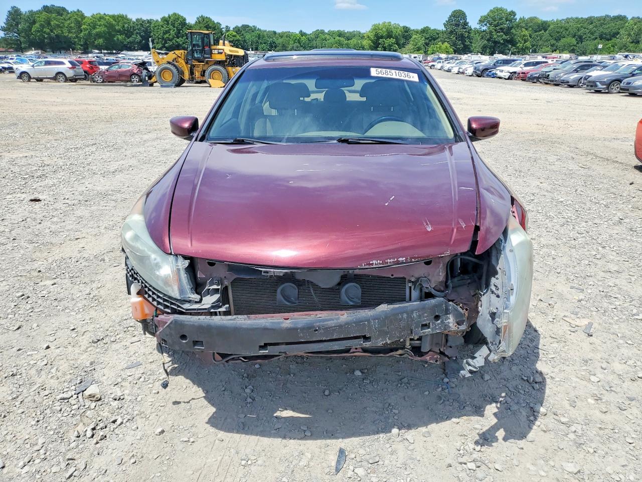 2009 Honda Accord Exl Maroon vin: 1HGCP26889A106397