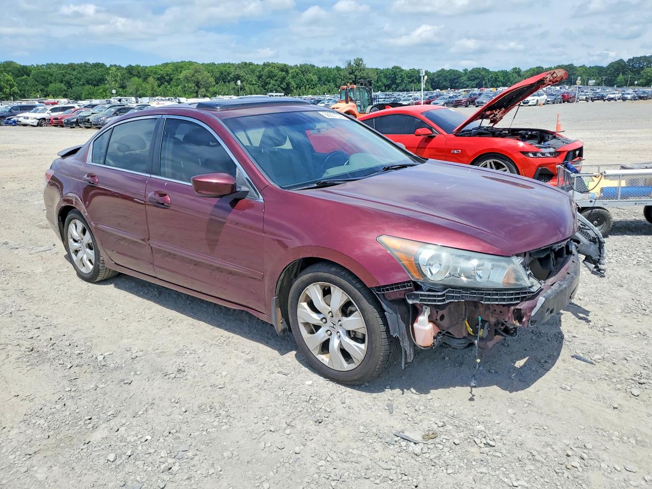 2009 Honda Accord Exl Maroon vin: 1HGCP26889A106397