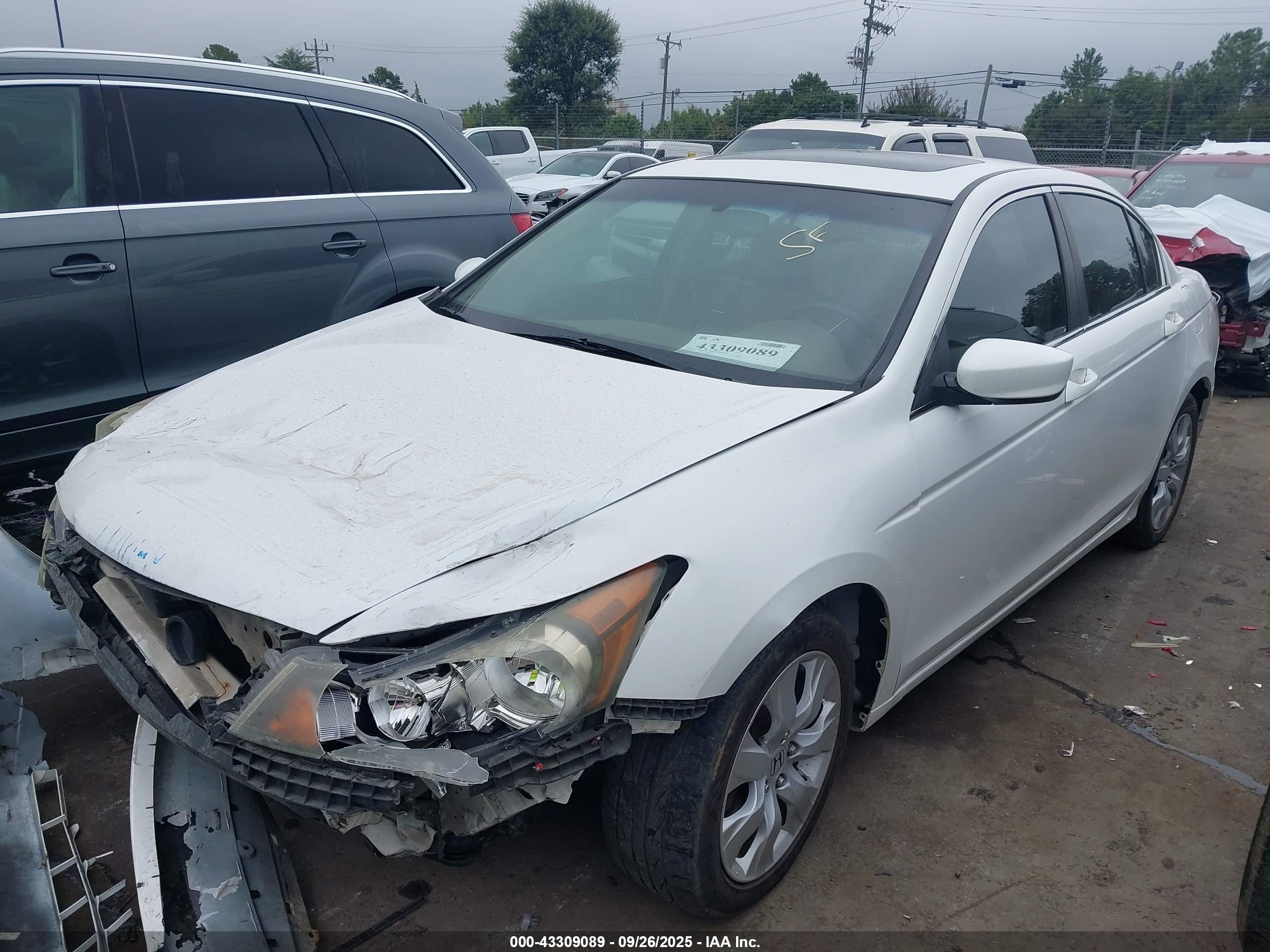 2009 Honda Accord 2.4 Ex-l White vin: 1HGCP26889A113995
