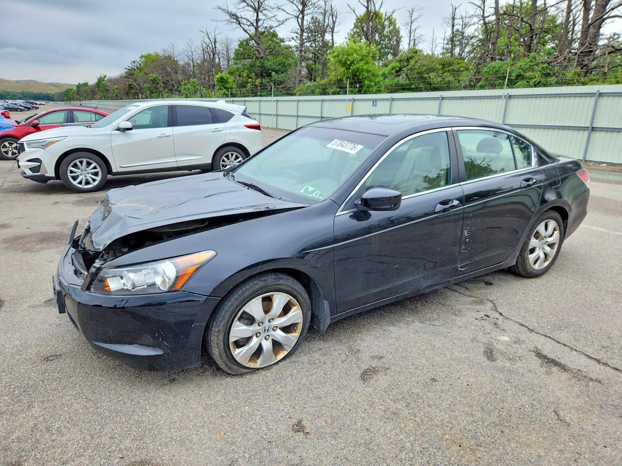 2009 Honda Accord Exl Black vin: 1HGCP26889A136175