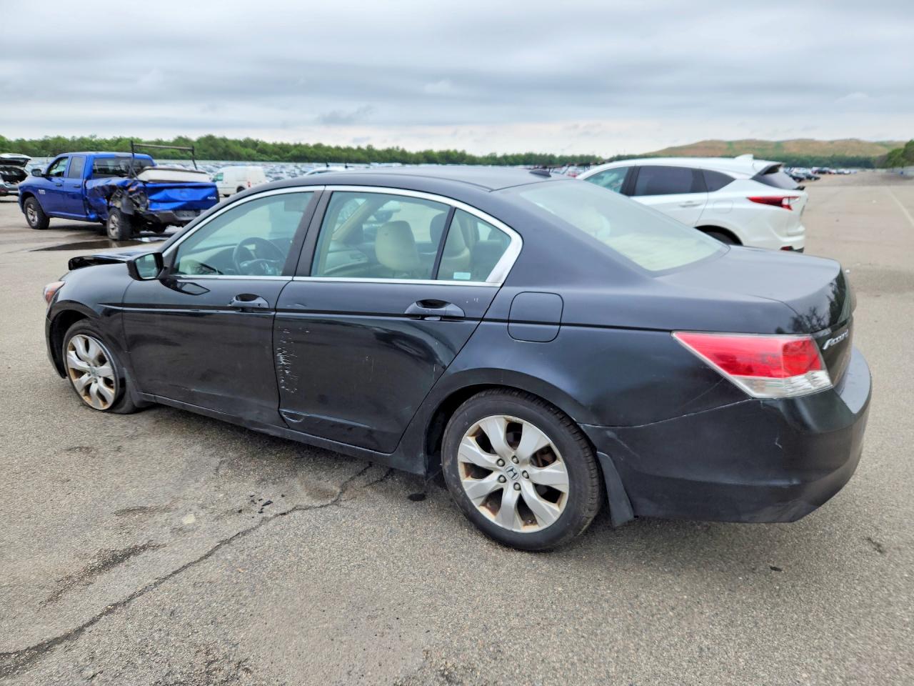 2009 Honda Accord Exl Black vin: 1HGCP26889A136175