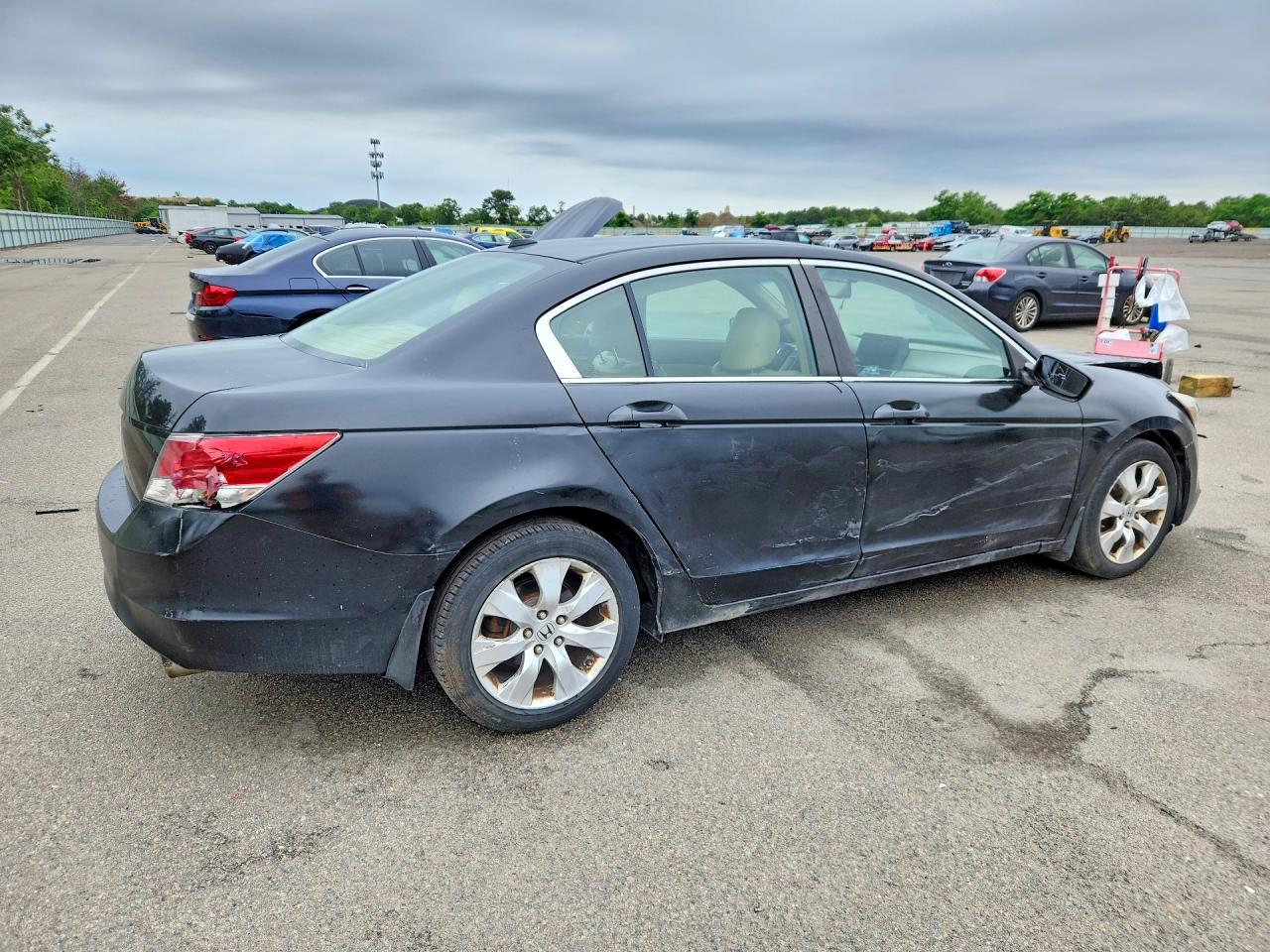 2009 Honda Accord Exl Black vin: 1HGCP26889A136175