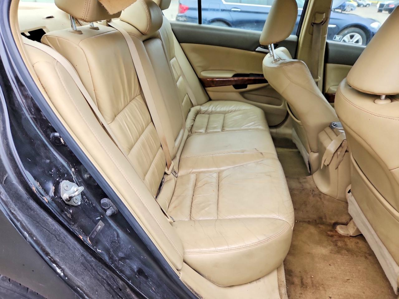 2009 Honda Accord Exl Black vin: 1HGCP26889A136175