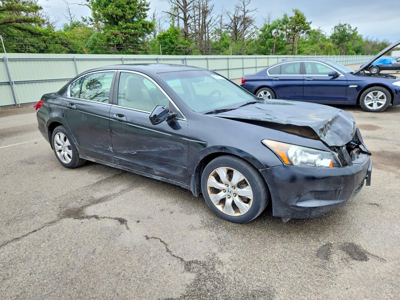 2009 Honda Accord Exl Black vin: 1HGCP26889A136175