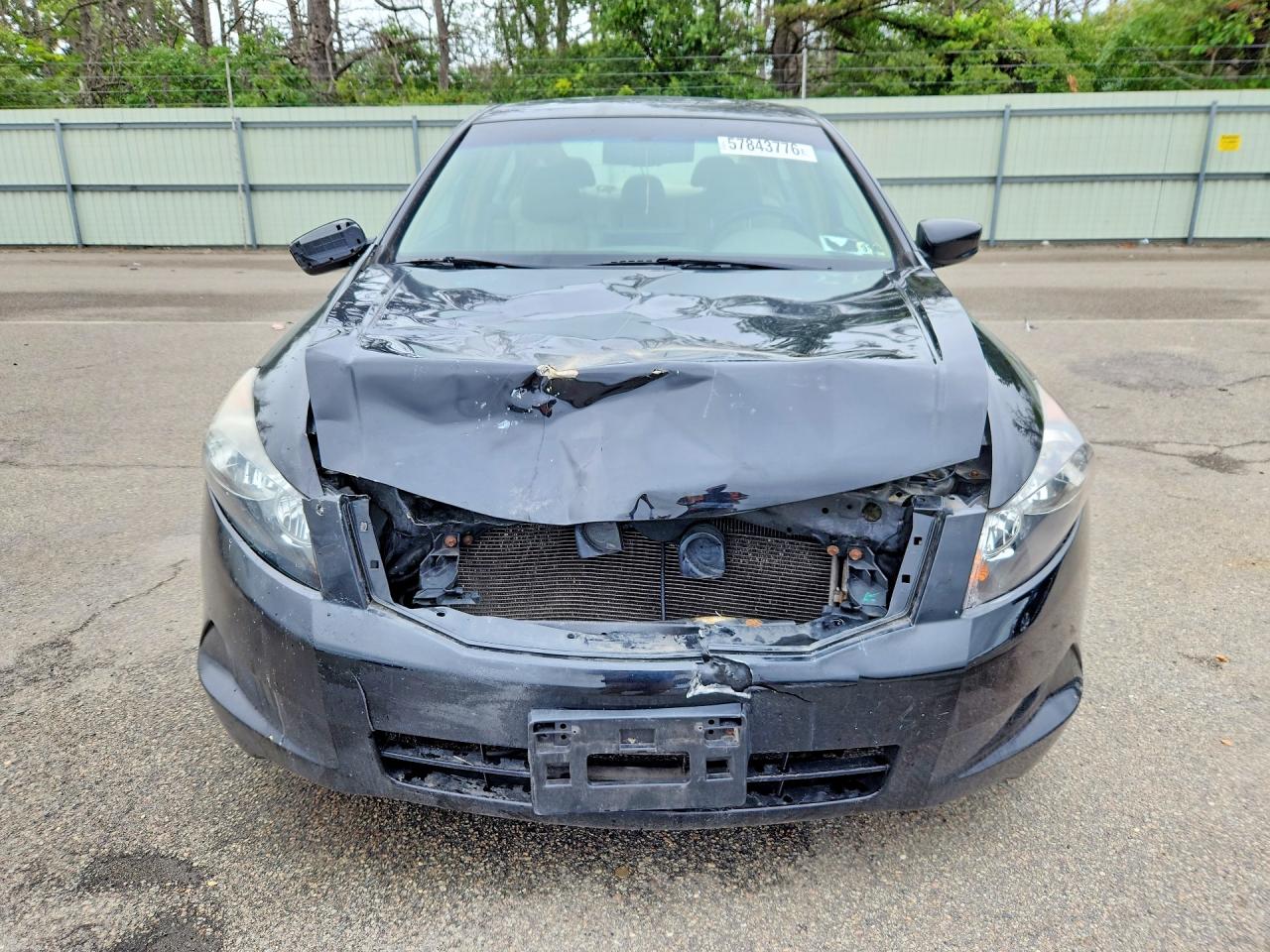 2009 Honda Accord Exl Black vin: 1HGCP26889A136175