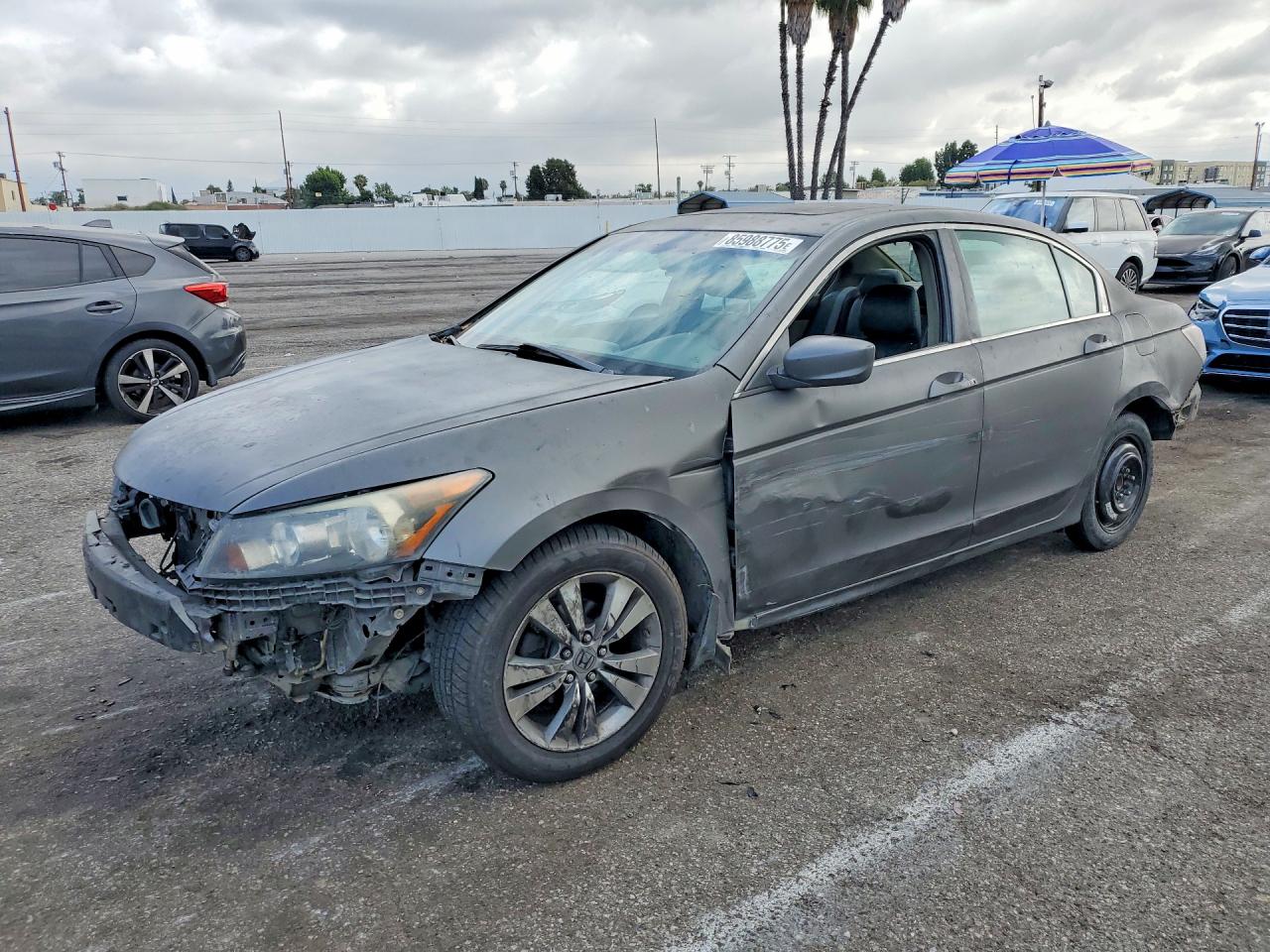 2009 Honda Accord Exl Gray vin: 1HGCP26889A142266