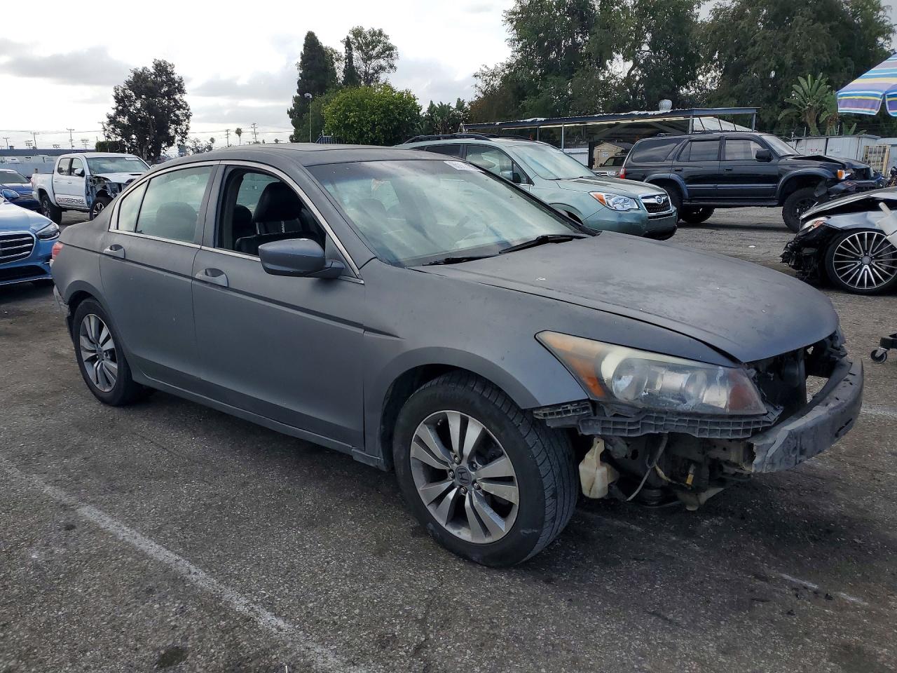 2009 Honda Accord Exl Gray vin: 1HGCP26889A142266