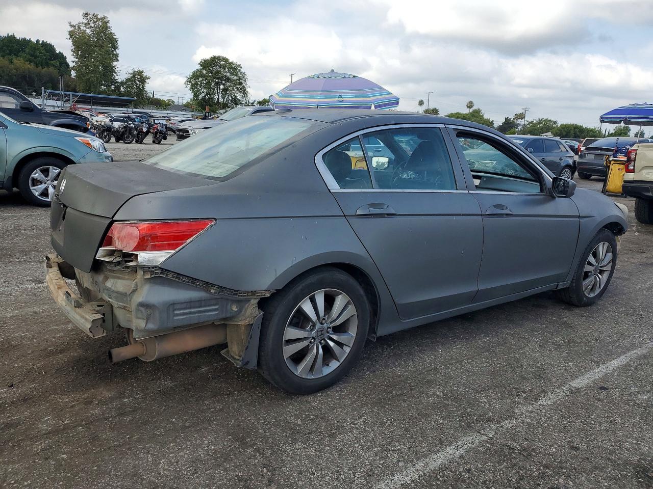 2009 Honda Accord Exl Gray vin: 1HGCP26889A142266