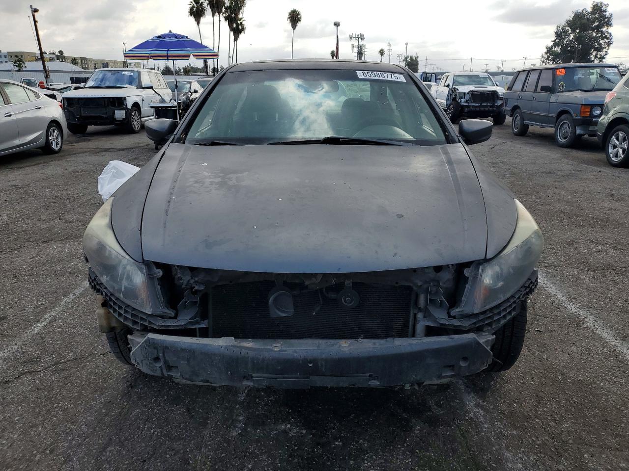 2009 Honda Accord Exl Gray vin: 1HGCP26889A142266