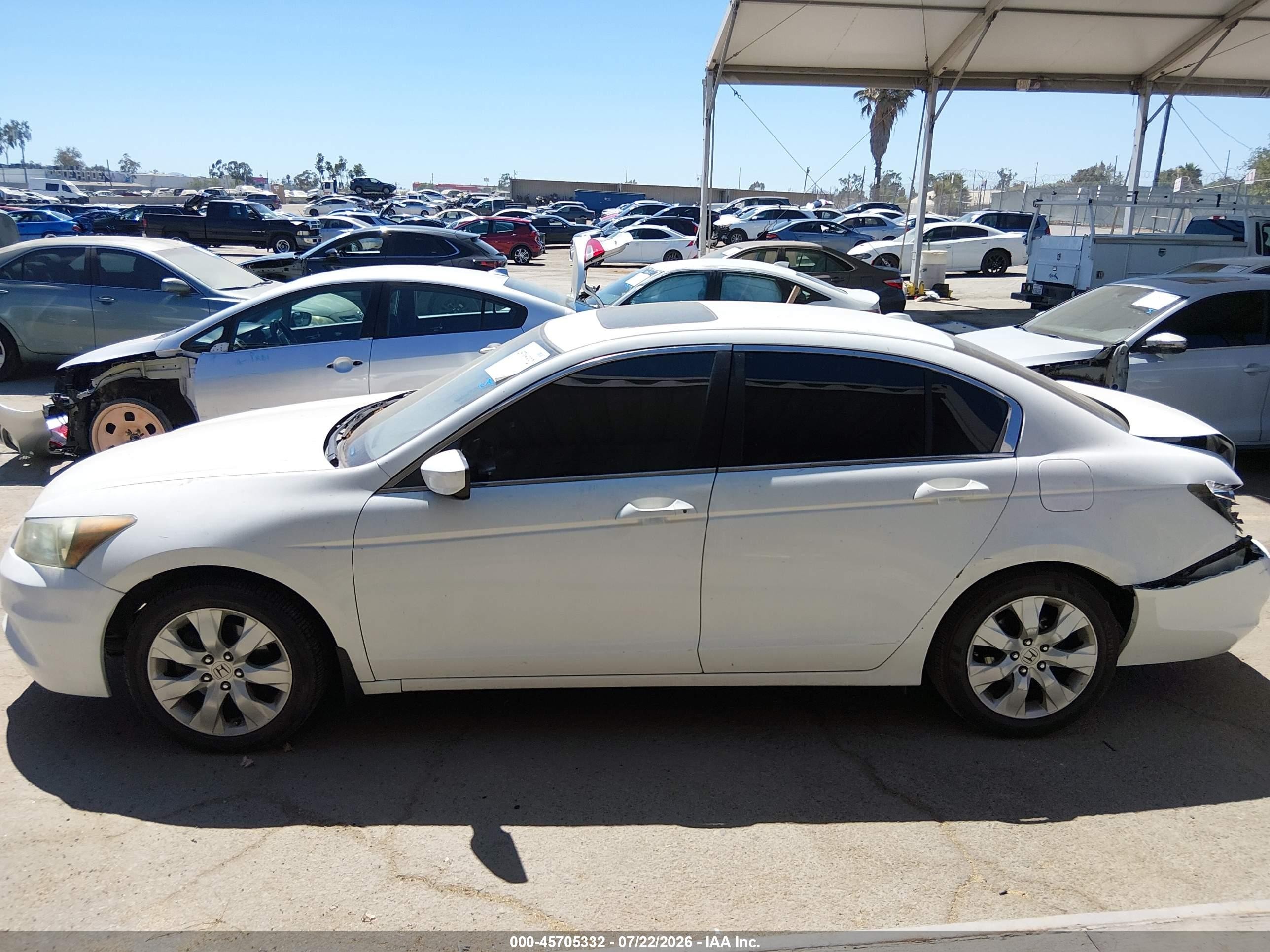 2009 Honda Accord 2.4 Ex-l Белый vin: 1HGCP26899A008284