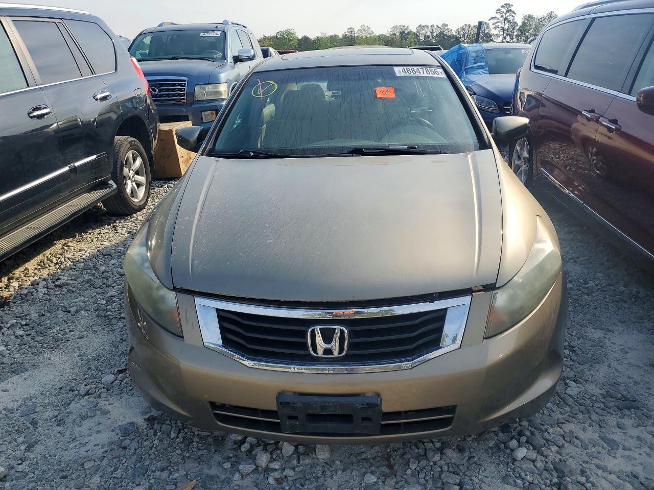 2009 Honda Accord Exl Tan vin: 1HGCP26899A011783