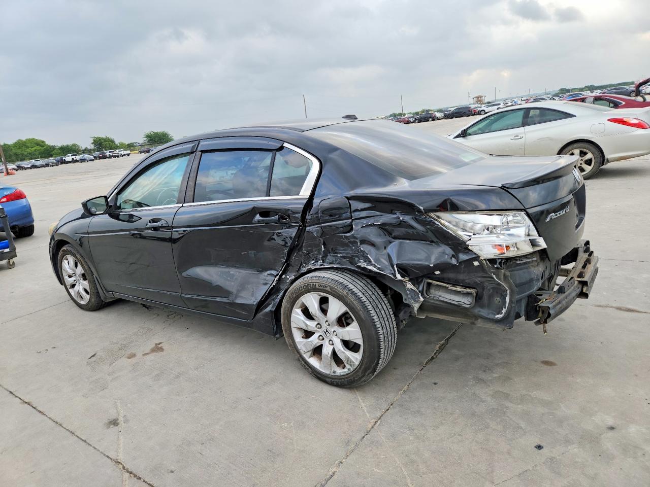 2009 Honda Accord Exl Black vin: 1HGCP26899A092302