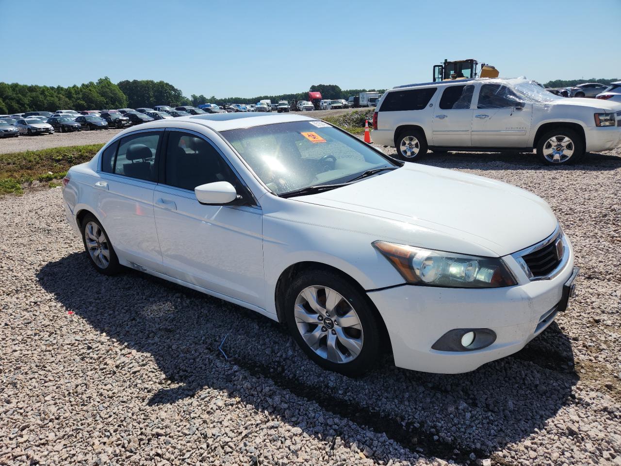2009 Honda Accord Exl White vin: 1HGCP26899A117649