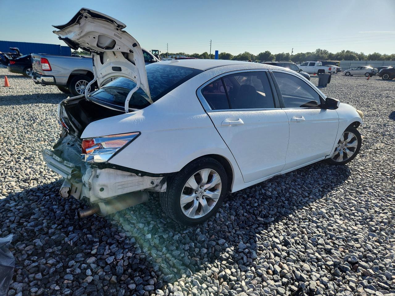 2009 Honda Accord Exl White vin: 1HGCP26899A119076