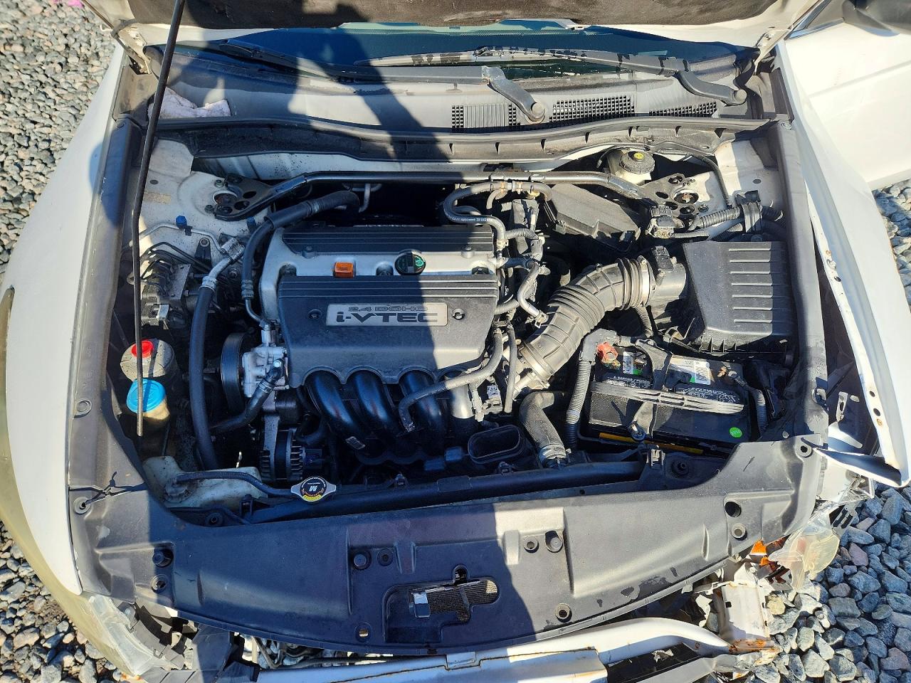 2009 Honda Accord Exl White vin: 1HGCP26899A119076