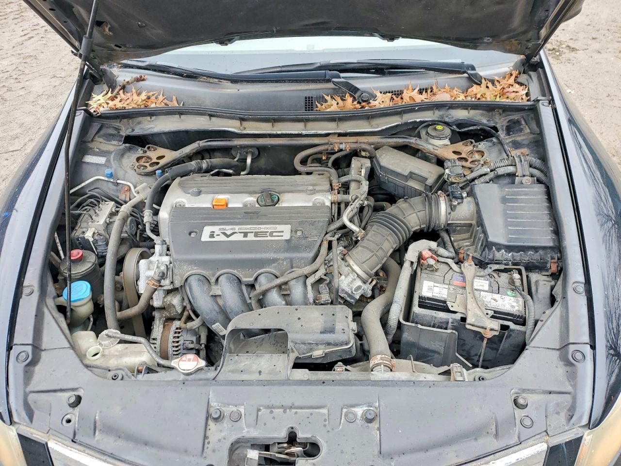 2008 Honda Accord Exl Black vin: 1HGCP268X8A079671