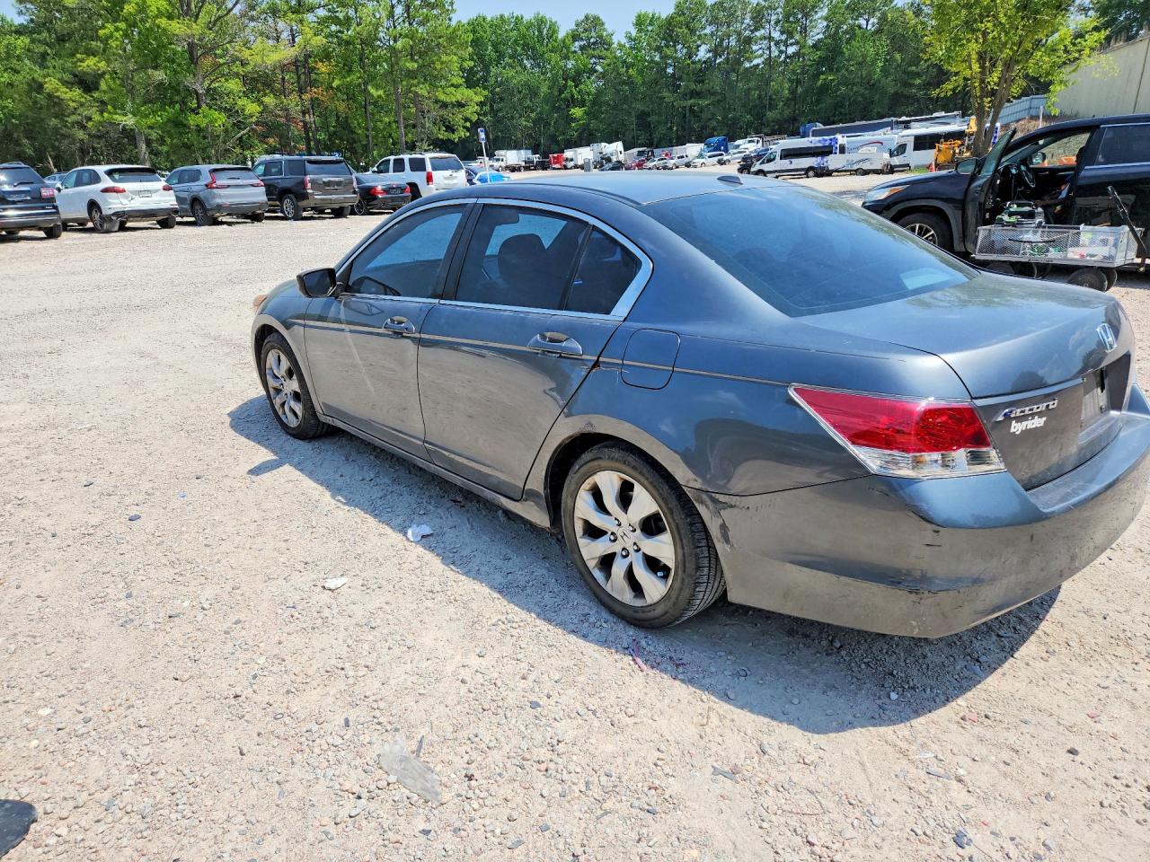 2009 Honda Accord Exl Gray vin: 1HGCP268X9A035851