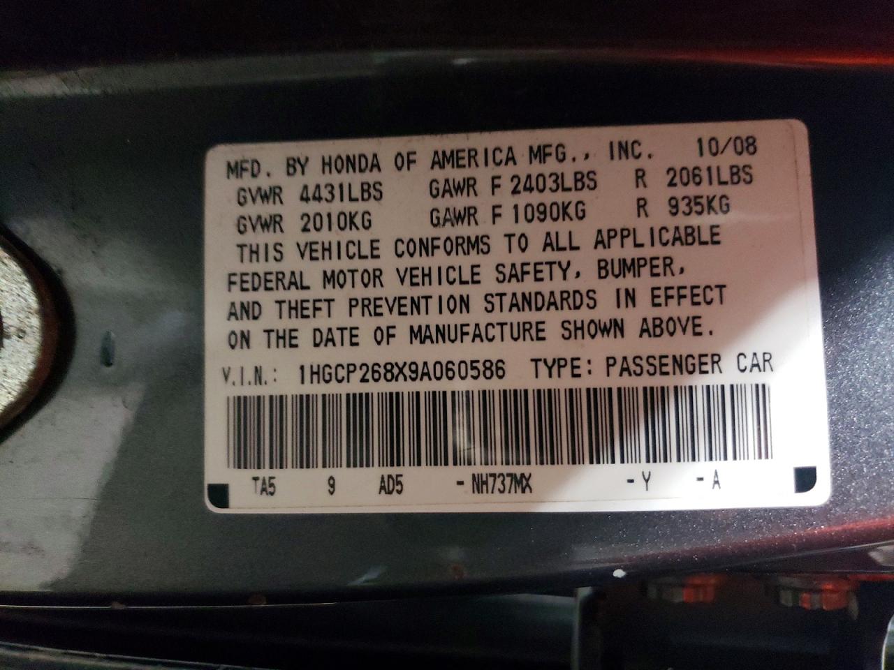 2009 Honda Accord Exl Gray vin: 1HGCP268X9A060586