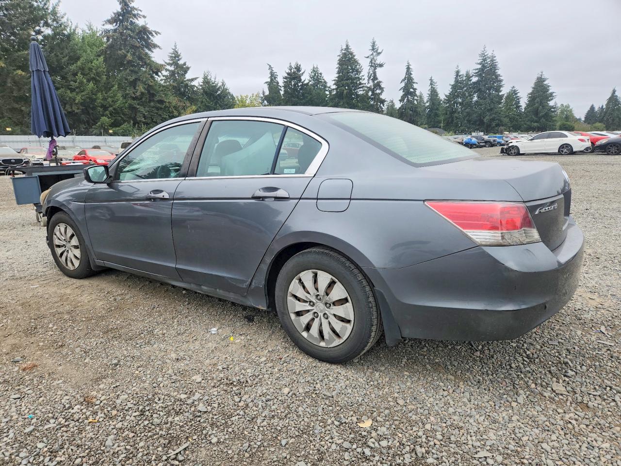 2010 Honda Accord Lx Gray vin: 1HGCP2F30AA059584
