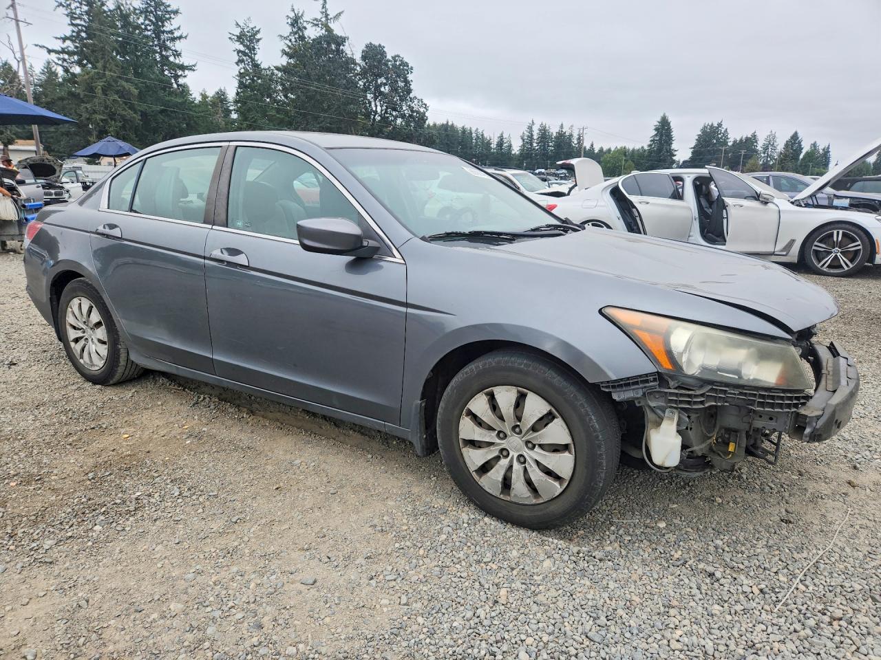 2010 Honda Accord Lx Gray vin: 1HGCP2F30AA059584