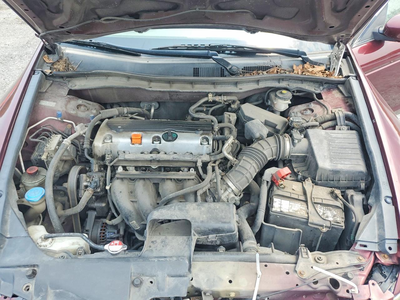 2010 Honda Accord Lx Burgundy vin: 1HGCP2F30AA159619
