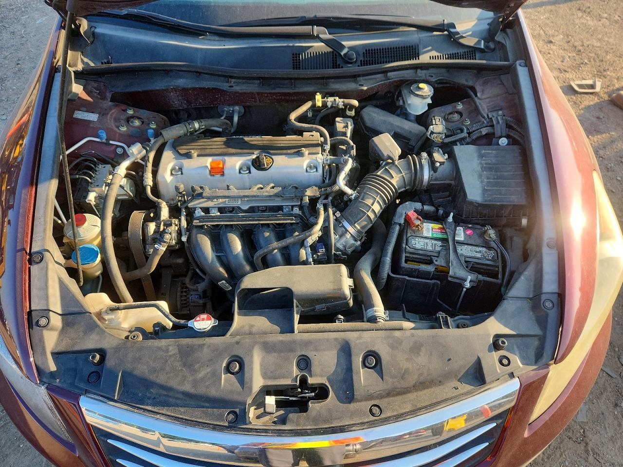 2011 Honda Accord Lx Maroon vin: 1HGCP2F30BA056086