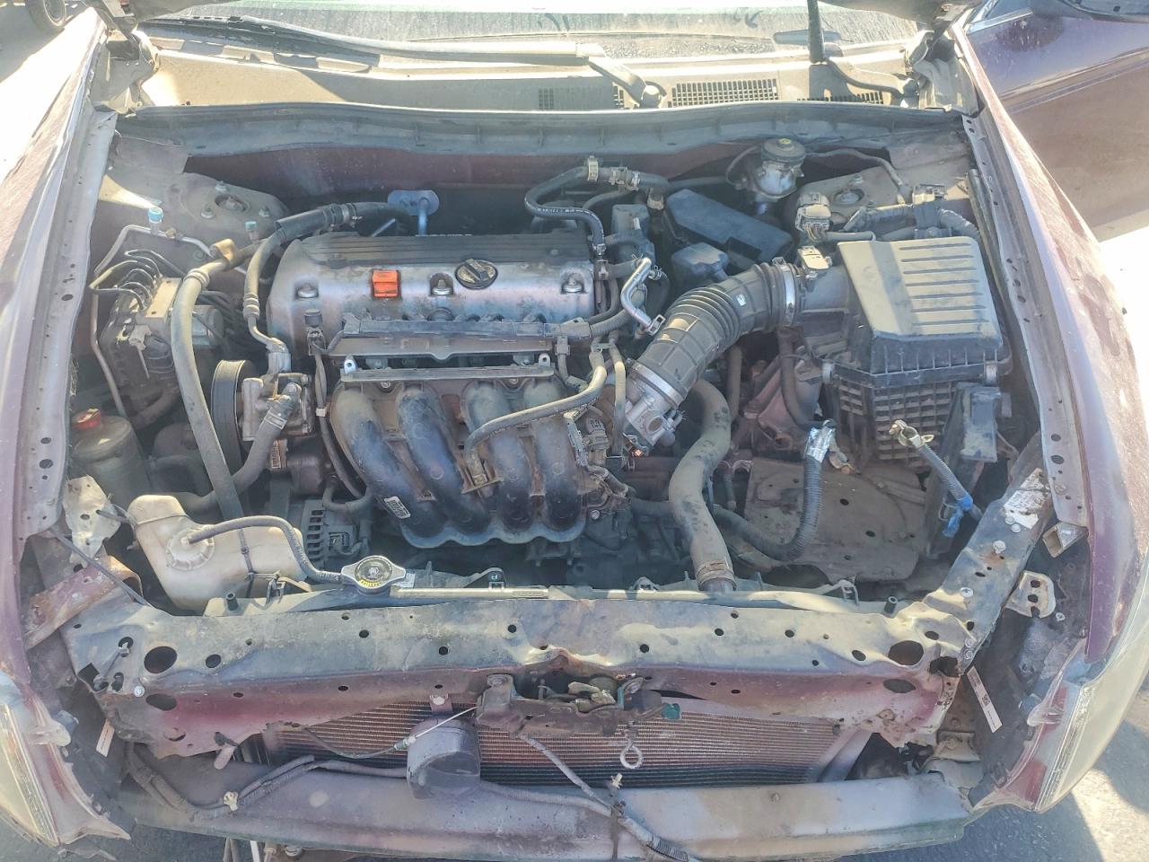 2012 Honda Accord Lx Burgundy vin: 1HGCP2F30CA237352
