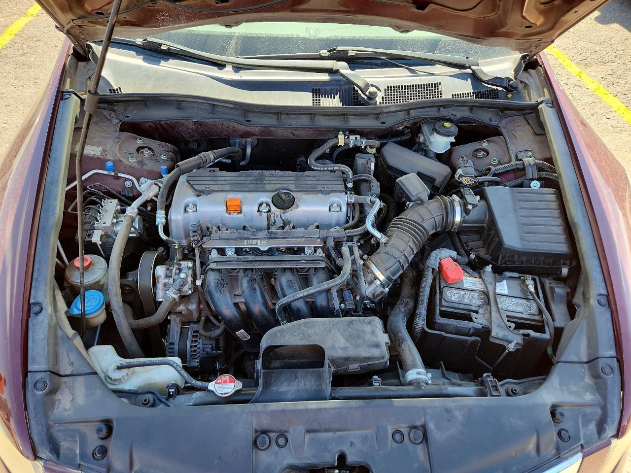 2010 Honda Accord Lx Бордовый vin: 1HGCP2F31AA108825