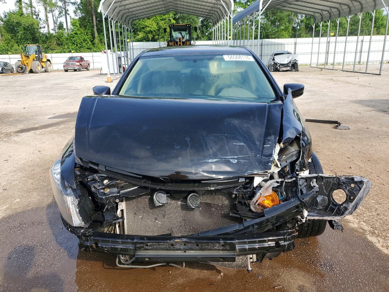 2010 Honda Accord Lx Black vin: 1HGCP2F31AA164182