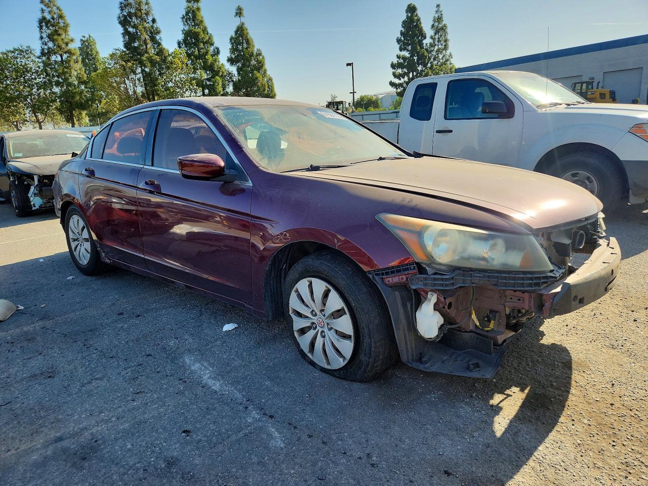 2011 Honda Accord Lx Burgundy vin: 1HGCP2F31BA008743