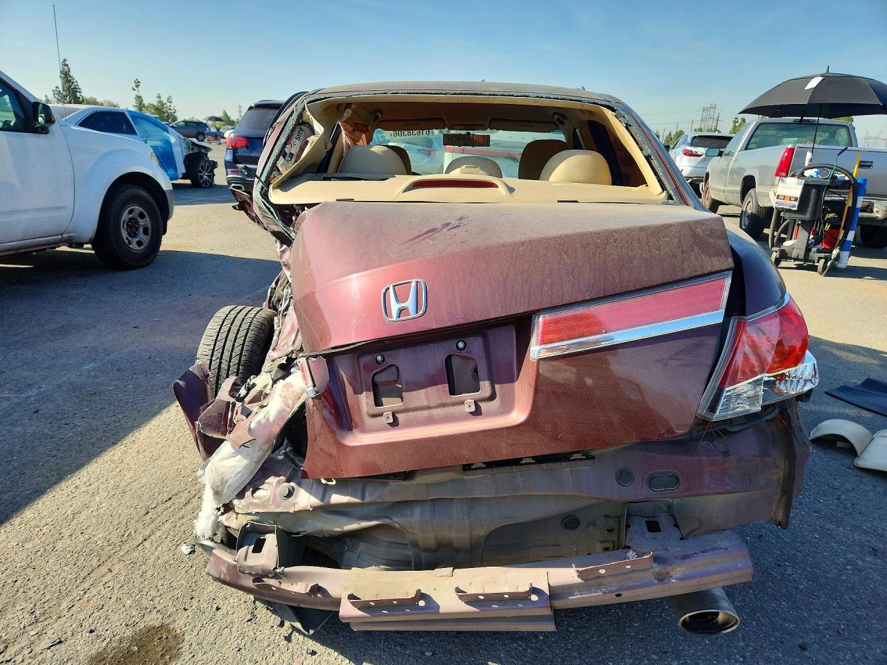 2011 Honda Accord Lx Burgundy vin: 1HGCP2F31BA008743