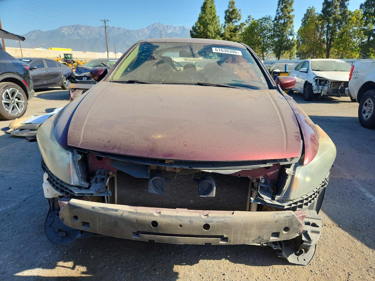 2011 Honda Accord Lx Burgundy vin: 1HGCP2F31BA008743