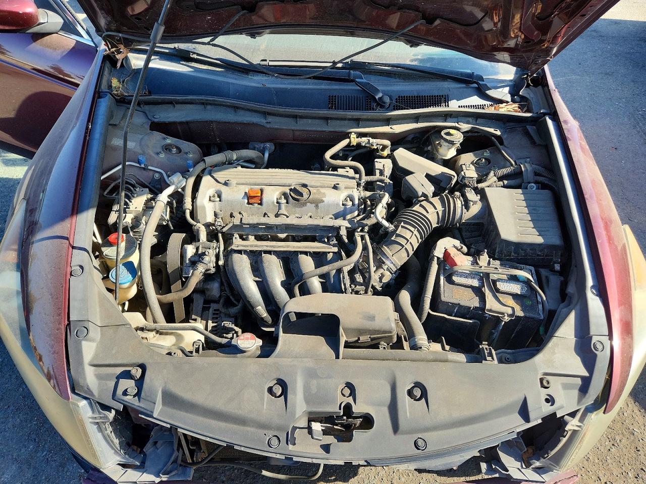 2011 Honda Accord Lx Burgundy vin: 1HGCP2F31BA008743