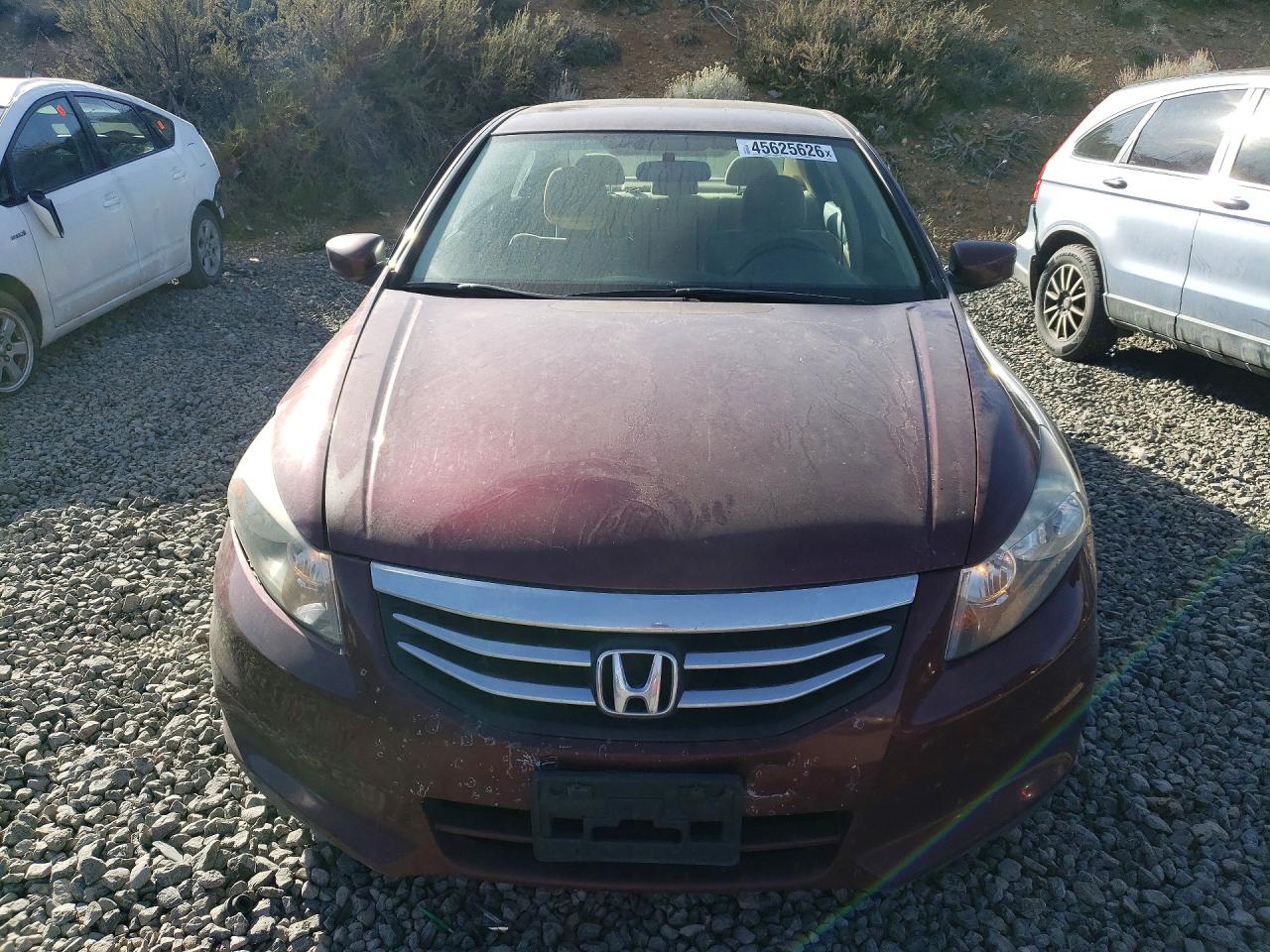 2011 Honda Accord Lx Burgundy vin: 1HGCP2F31BA050202