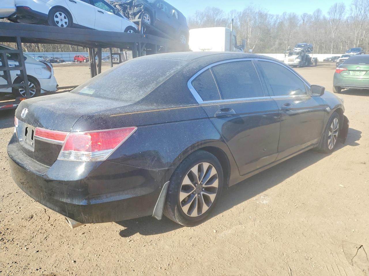 2011 Honda Accord Lx Black vin: 1HGCP2F31BA087542