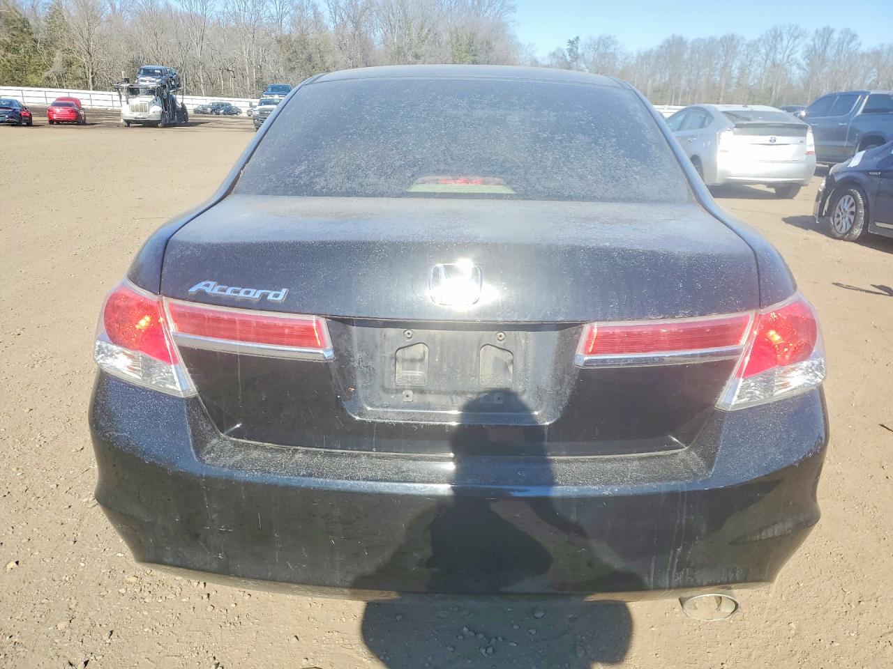 2011 Honda Accord Lx Black vin: 1HGCP2F31BA087542