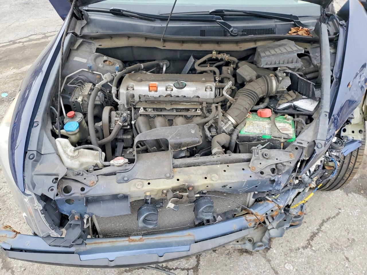 2010 Honda Accord Lx Blue vin: 1HGCP2F32AA086785