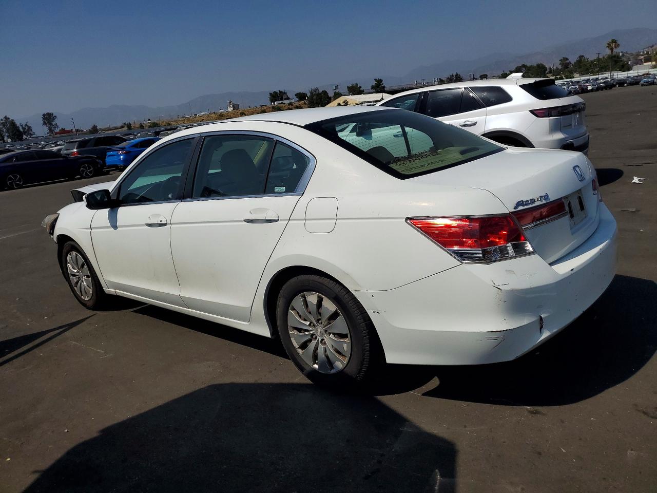 2011 Honda Accord Lx White vin: 1HGCP2F32BA112366