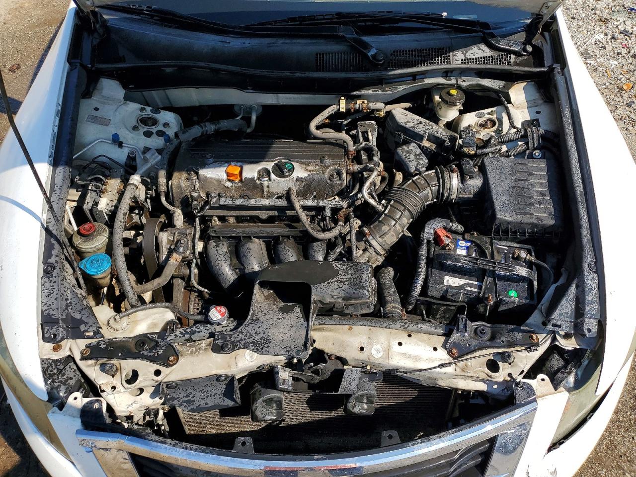 2010 Honda Accord Lx White vin: 1HGCP2F33AA013893