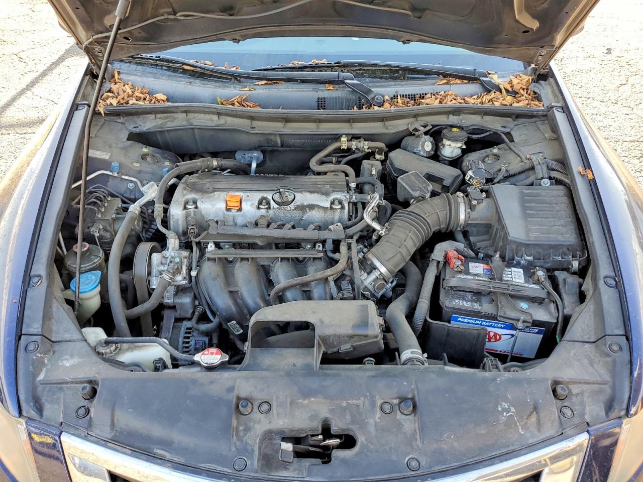 2010 Honda Accord Lx Blue vin: 1HGCP2F33AA055738