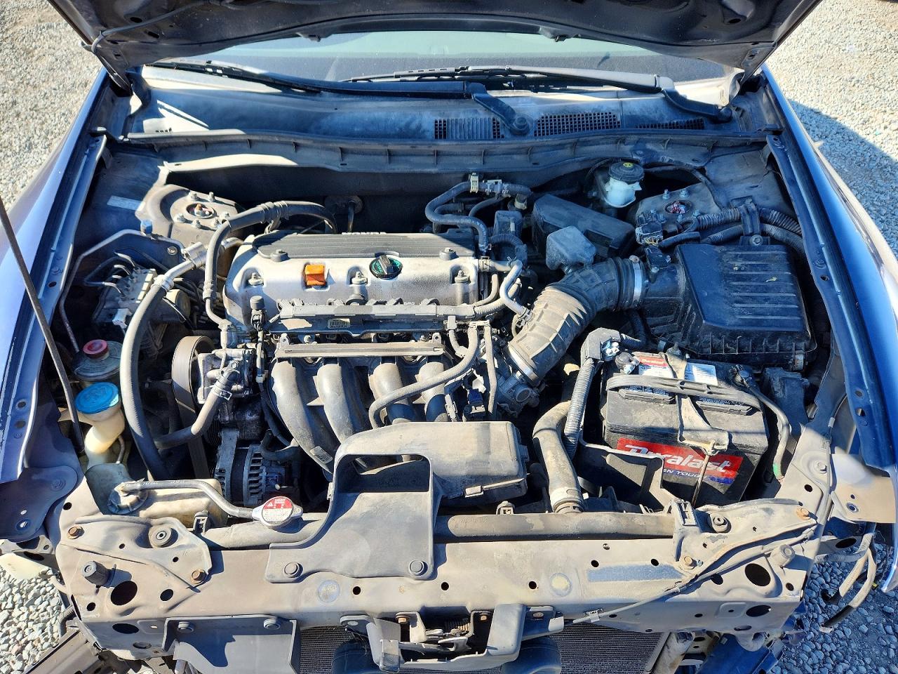 2010 Honda Accord Lx Blue vin: 1HGCP2F33AA106512
