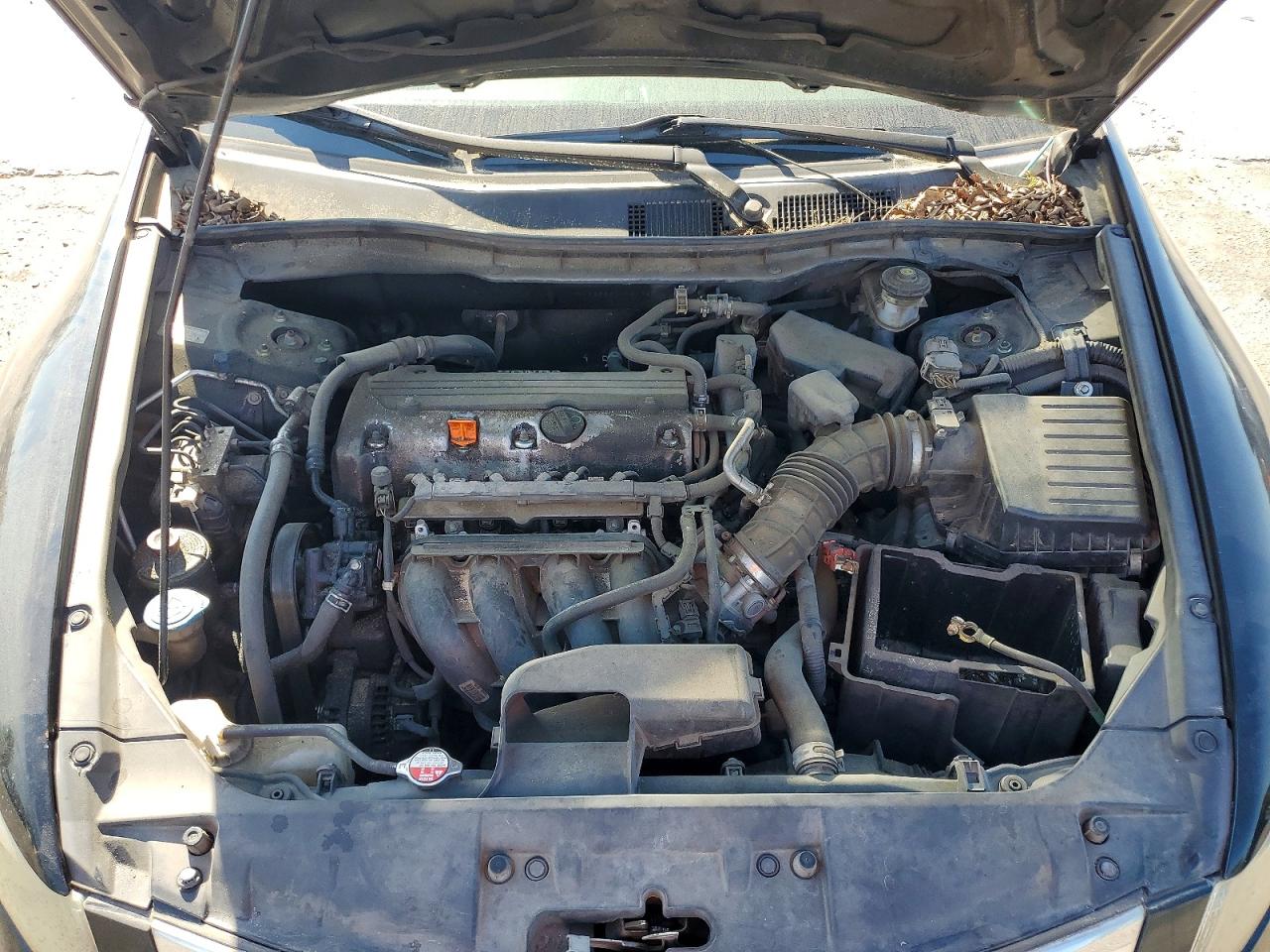 2010 Honda Accord Lx Black vin: 1HGCP2F33AA121320