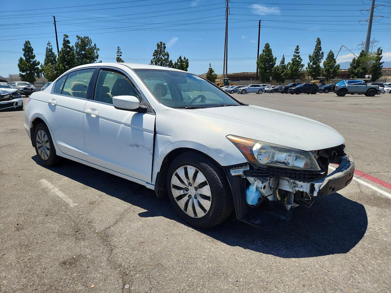 2012 Honda Accord Lx Белый vin: 1HGCP2F33CA089231